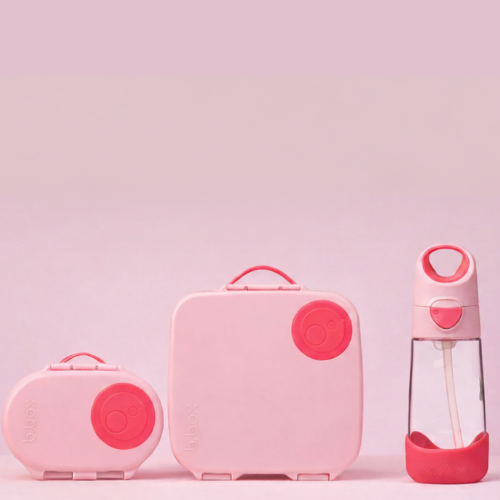 Flamingo Fizz Set - Lunchbox, Bottle, and Snack Box