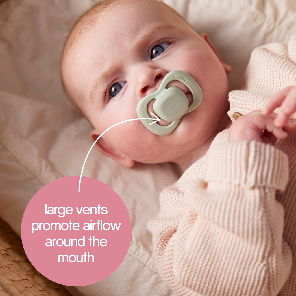 Pacifier size 2 twin pack berry/blush