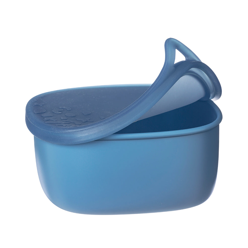 Lunch box blue blaze + lunch tub free