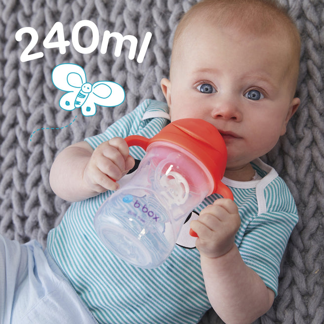 sippy cup - raspberry
