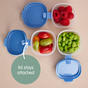 Snack Tubs - berry