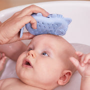 Cleanse - baby bath wash + Foxy - baby bath brush