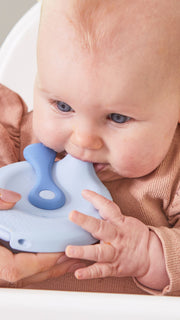 fill + feed - lullaby blue