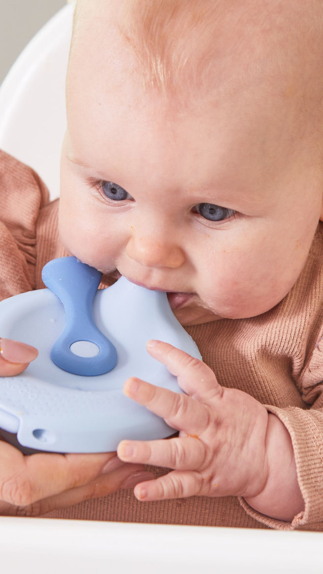 fill + feed - lullaby blue